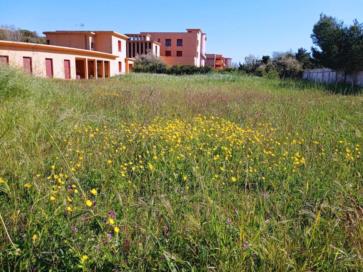 Accesso diretto sul mare con terrazza in parco naturale Calambrone Esterno foto