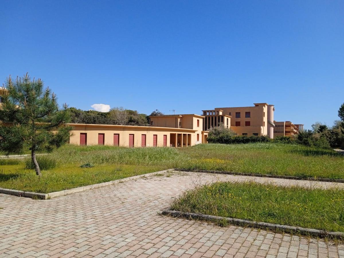 Accesso diretto sul mare con terrazza in parco naturale Calambrone Esterno foto