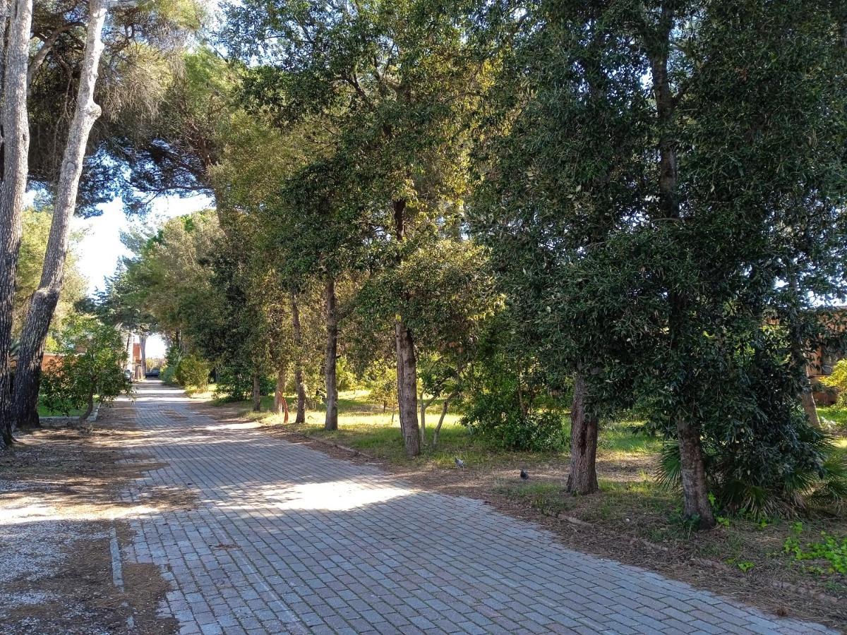Accesso diretto sul mare con terrazza in parco naturale Calambrone Esterno foto