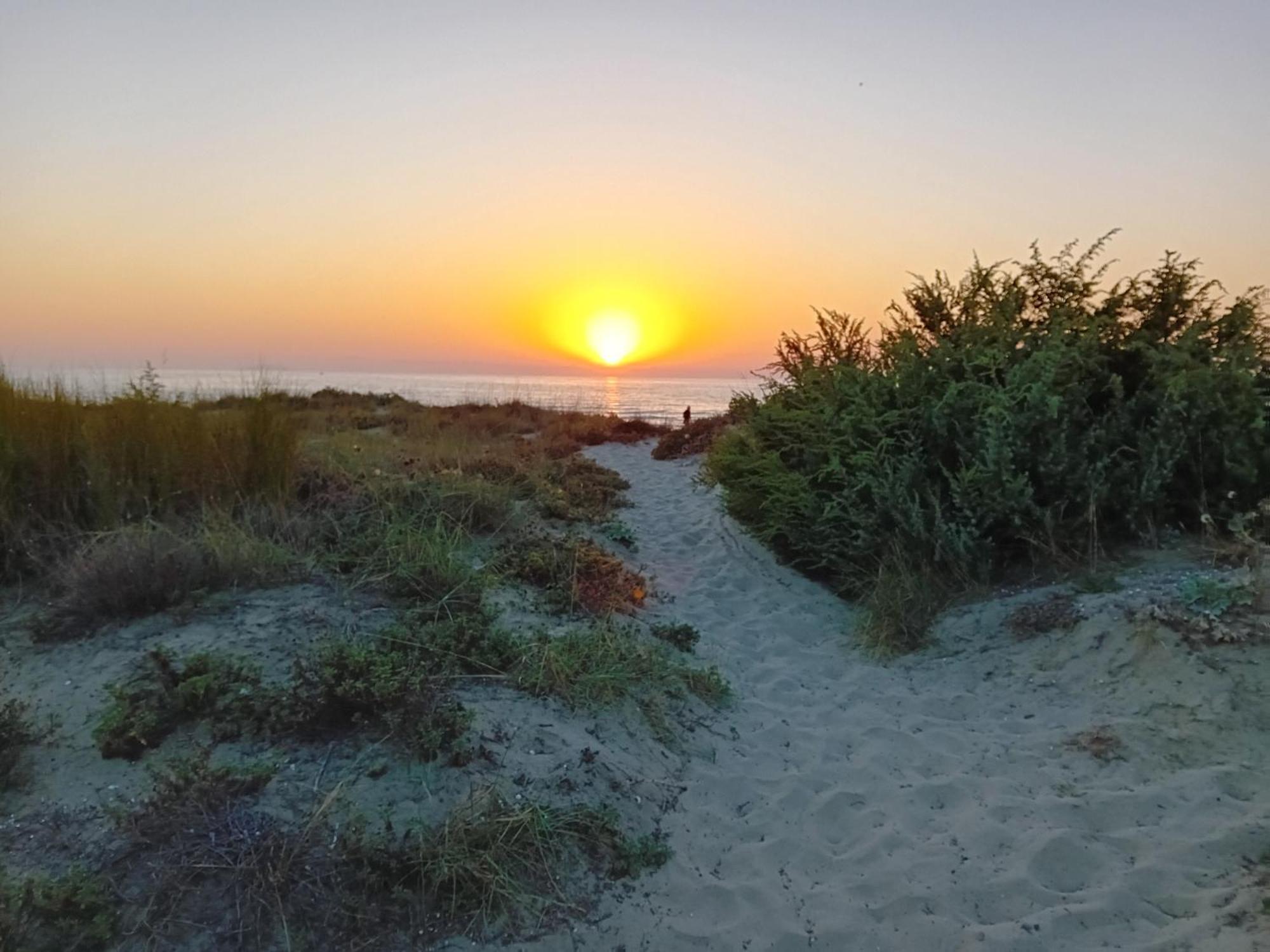 Accesso diretto sul mare con terrazza in parco naturale Calambrone Esterno foto
