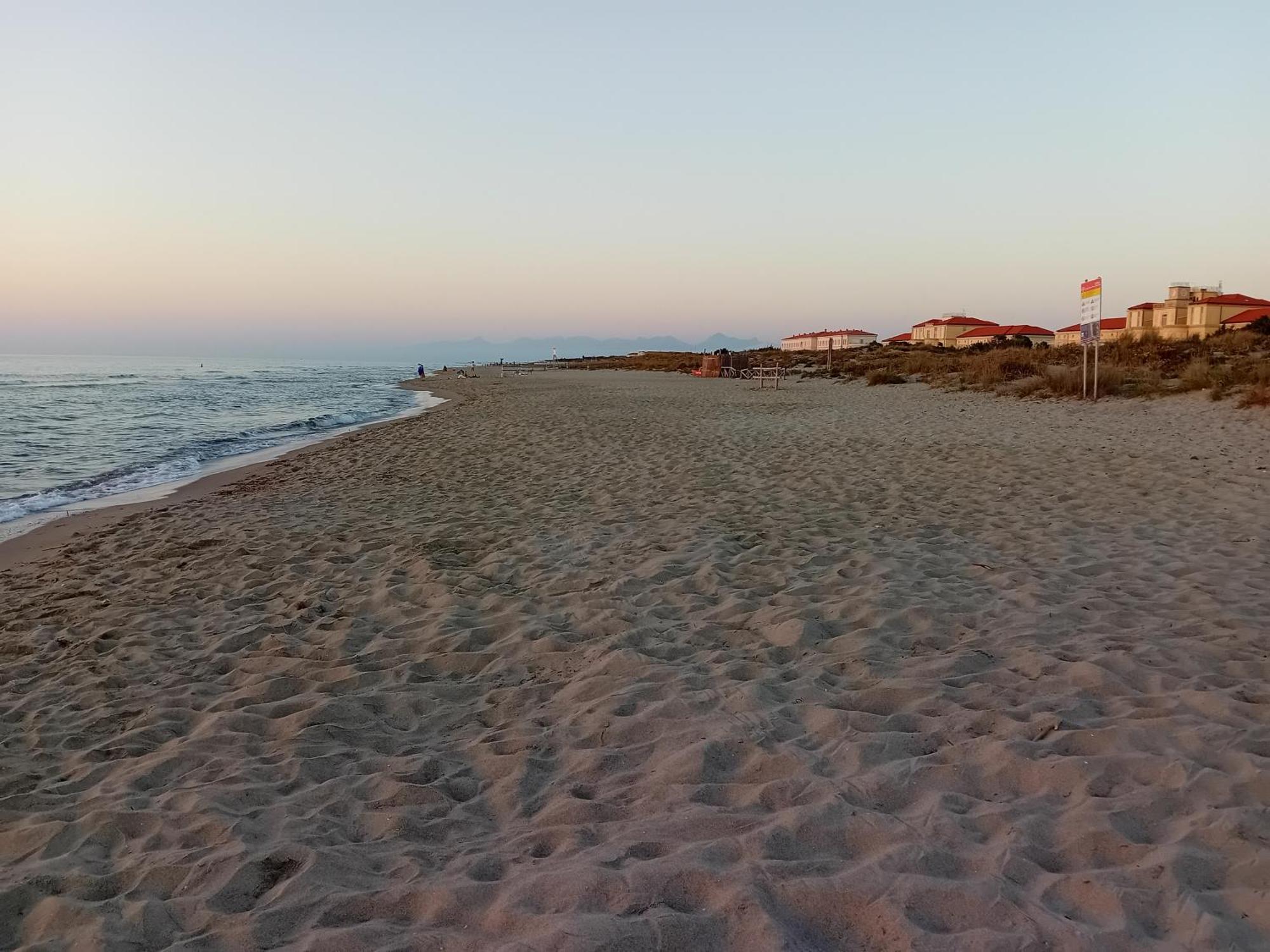 Accesso diretto sul mare con terrazza in parco naturale Calambrone Esterno foto